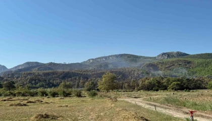 Antalya Serikteki yangın büyük oranda kontrol altına alındı