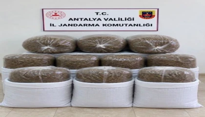 Antalyada üç ilçede kaçak tütün operasyonu: 400 kilogram tütün ele geçirildi