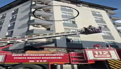 Böcek korkusuyla balkon duvarının üzerine çıkan kadın, ölümle burun buruna geldi