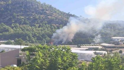 Bozyazıda orman yangını büyümeden söndürüldü