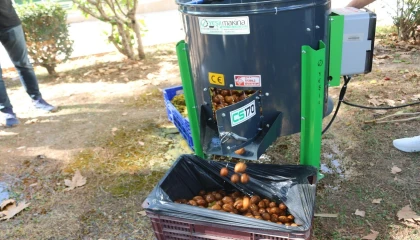 Büyükşehirden Kemerli üreticilere ceviz soyma makinesi desteği
