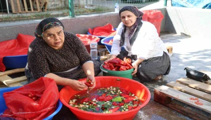 Damlar şarkılı türkülü salça mesaisi ile kırmızıya boyandı