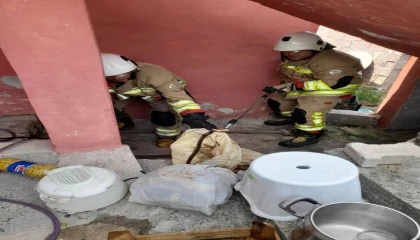 Erzinde eve giren yılan yakalandı