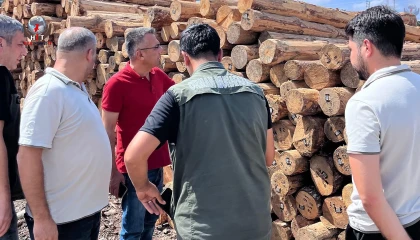 Hatay Orman Bölge Müdürü Günay, İskenderun Sahil Orman Deposunda incelemelerde bulundu