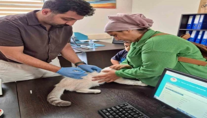 Hatayda kuduz aşılama çalışmaları sürüyor