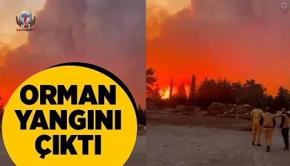 Hatayda orman yangını çıktı