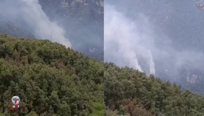 Hatayda orman yangını: Ekiplerin müdahalesi başladı
