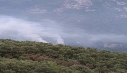 Hataydaki orman yangınının enerjisi düşürüldü