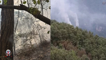 Hataydaki orman yangınının enerjisi düşürüldü