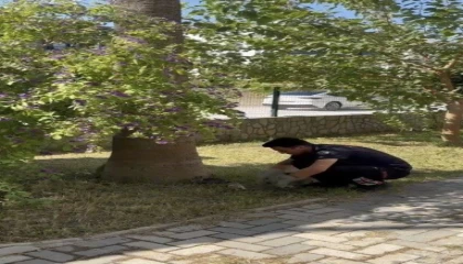 Havalandırma boşluğuna düşen 3 yavru kediyi itfaiye kurtardı