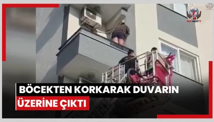 Herkes intihar sandı ama gerçek başka çıktı! Böcek korkusu canından ediyordu