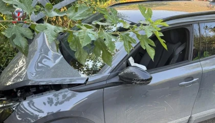 İskenderunda elektrik direğine çarpan otomobilin sürücüsü yaralandı