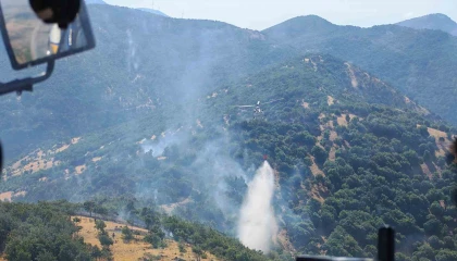 Kahramanmaraştaki orman yangınları söndürüldü
