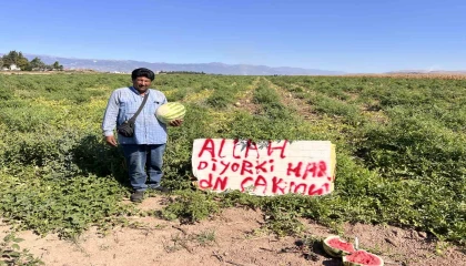 Karpuz hırsızlarıyla başa çıkmak için kibar ikazda bulunan çiftçinin çözümü sonuçsuz kalınca tarlada nöbete başladı