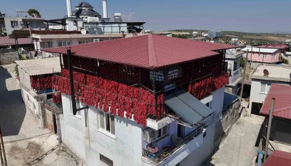 Kavurucu sıcakta tek tek ipe dizilen dolmalık acı biberler, mahalledeki balkonları kırmızıya bürüdü