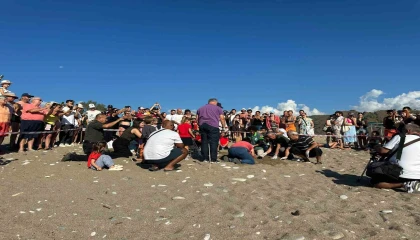 Kemerde son caretta caretta yuvası açıldı