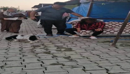 Konteyner kentte imam nikahlı koca dehşeti: Karısı ve kızıyla birlikte toplam 4 kişiyi palayla yaraladı