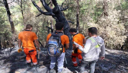 Kozanda yanan 5 bin 900 hektarlık alanda yeniden yeşil vatan mesaisi başladı: Ağaçlar tek tek damgalanıyor