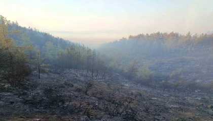 Kumlucadaki orman yangını kısmen kontrol altında