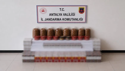 Manavgatta kaçak tütün operasyonu: 30 bin dolu makaron ele geçirildi