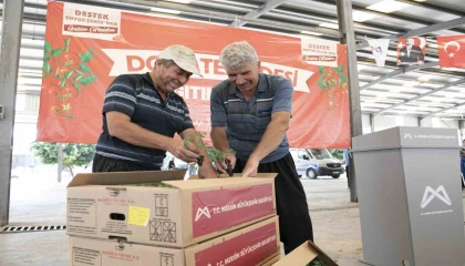 Mersinde 200 üreticiye yüzde 70 hibeli domates fidesi desteği