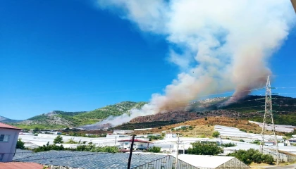Mersinde orman yangını: Alevler rüzgarın etkisiyle yayılıyor