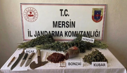 Mersinde uyuşturucu operasyonu: 1 tutuklama