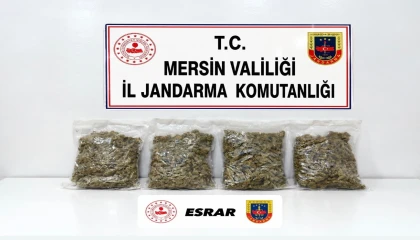 Mersinde uyuşturucu operasyonu: 2 gözaltı