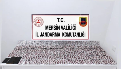 Mersinde uyuşturucu operasyonu: 2 tutuklama