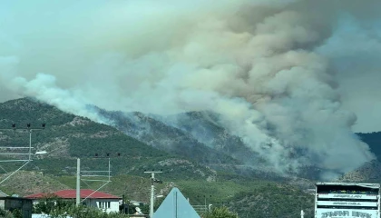 Mersindeki orman yangını sürüyor