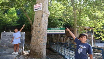 Mesire alanındaki çöp sorununa Çöp atan eşektir yazılı tabelayla tepki