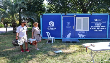 Mobil sahipsiz kedi kısırlaştırma ünitesi Karaalioğlu Parkında