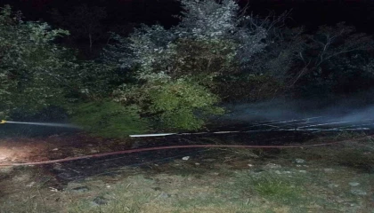 Osmaniyede çıkan orman yangını büyümeden söndürüldü