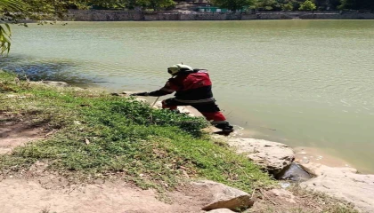 Reyhanlıda göl kenarında görülen yılan yakalandı