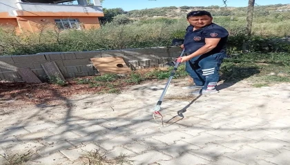 Samandağda yerleşim yerinde görülen yılan yakalanarak doğaya bırakıldı