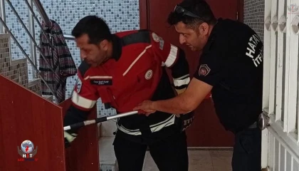 Samandağda yerleşim yerinde görülen yılan yakalanarak doğaya bırakıldı