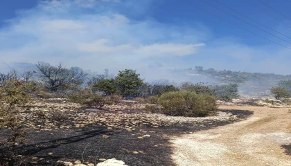Silifkedeki yangın evlere ulaşmadan kontrol altına alındı