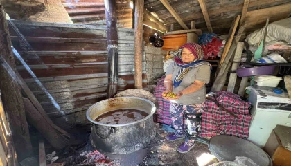 Torosların taş eriği sofralara iniyor 10 kilo erikten 1 kilo ekşi çıkıyor kilogramı 500 liradan satılıyor