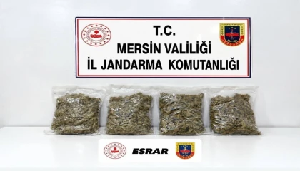 Uyuşturucu taciri 2 kilo 100 gram esrarla yakalandı