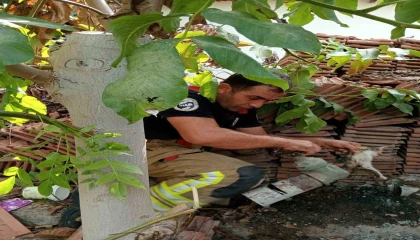 Vanaya sıkışarak mahsur kalan yavru kedi, itfaiye ekiplerinin çalışmasıyla kurtarıldı