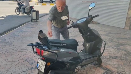 Vatandaşın ‘Paramı ver sözlerini umursamayan mahallelinin dostu karga, ağzındaki parayla görüntülendi
