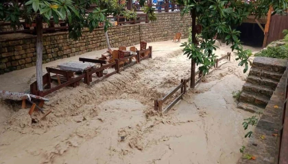 Yağışla birlikte dere taştı, çay bahçesi su içinde kaldı