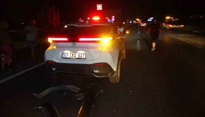 Yola fırlayan köpek kazaya neden oldu, 6 araç birbirine girdi