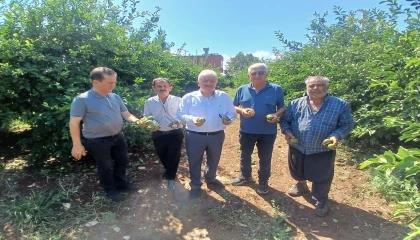 Yüreğirde dolu afeti: Yaklaşık 35 bin dönüm tarım alanı zarar gördü