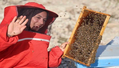 22 yaşında diplomasını aldı, 250 kovanla başladığı arıcılıkta bine ulaştı