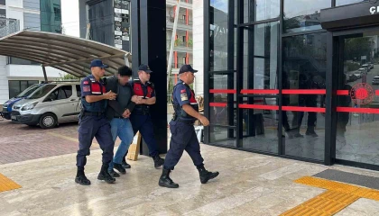 Alanyada kuşlara yönelik vahşet kamerada: Birinin kafasını ağzıyla, diğerinin bıçakla kesti