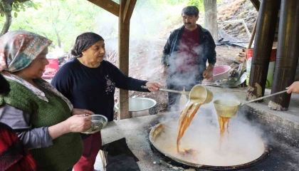 Bin 200 rakımda asırlık pekmez geleneği yaşatılıyor
