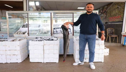 Denize kıyısı olmayan Kahramanmaraşta balık pazarı hareketlendi