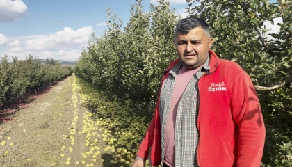 Elmalıda elmalar 5 TLden meyve suyuna gidiyor