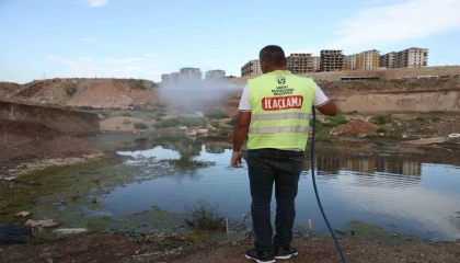 Hatayda haşere ve vektör mücadelesi sürüyor